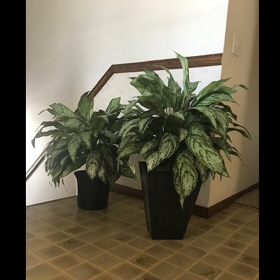 Before and After - Using planters - Idea Gallery - renting planters in Minnesota