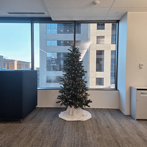 Frazier Fir