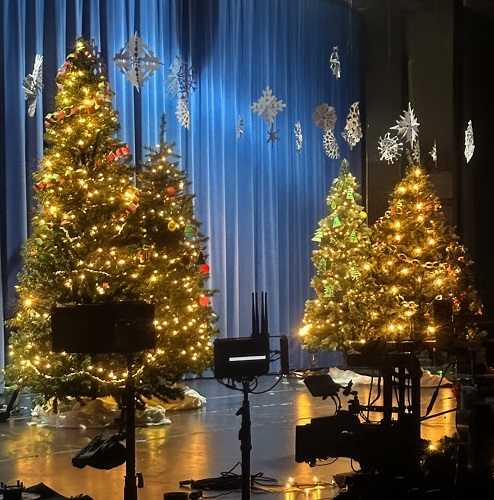 6 Christmas Trees Rental - Christmas