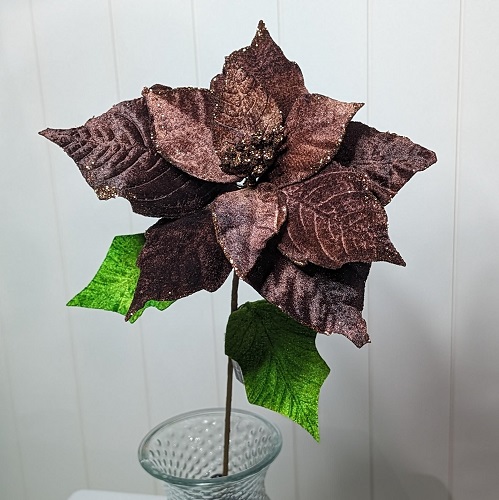 Poinsettia Chocolate - Christmas