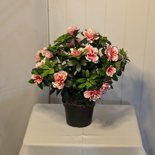 Azalea Bush Potted - Artificial Trees/Floor Plants - Artificial Pink azalea bushes for rent