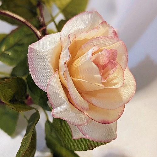Rose Garland Closeup