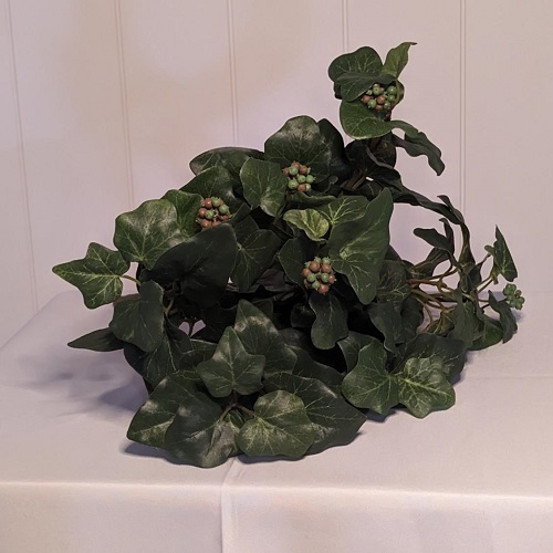 Cemetary Bush - Greenery & Floral