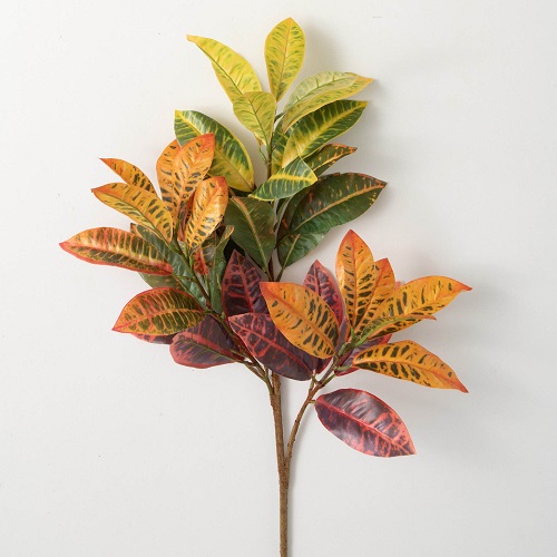 Croton Bush - Greenery & Floral
