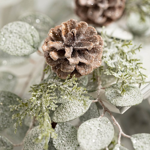 Eucalyptus with Pinecones