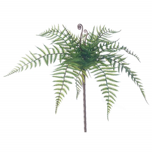Leather Fern 16 inch - Greenery & Floral