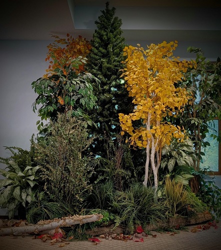 Midwest Fall Rent-A-Woods Sample - Rent-a-Woods