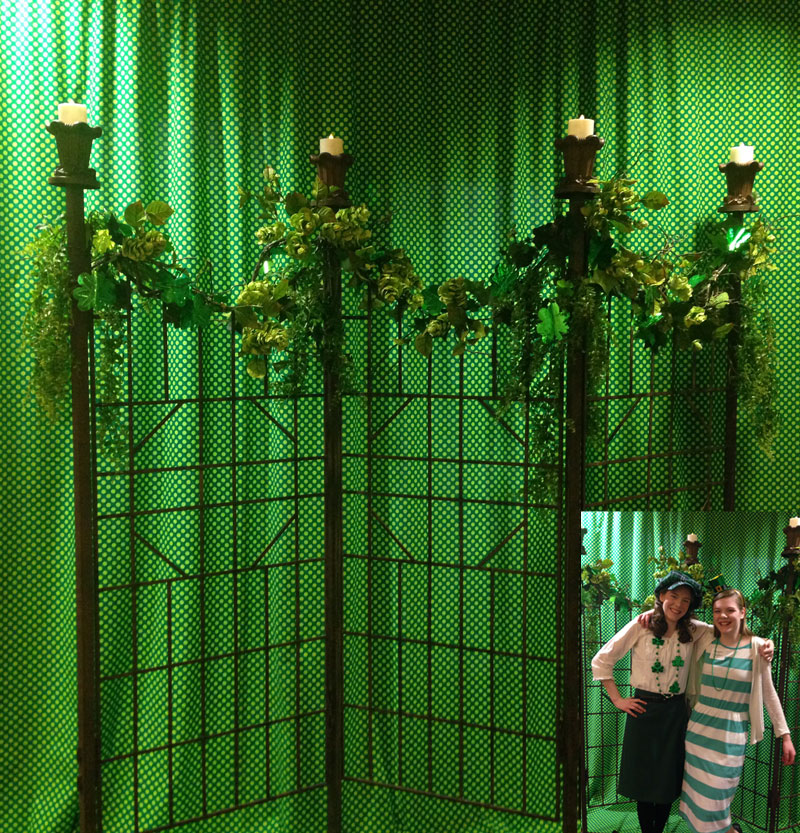 Photo Back Drop Idea - Themed Rentals - Photo Backdrop Idea St Patricks Day