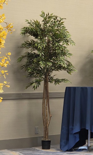 Smilax Tree 6 & 7ft - Artificial Trees/Floor Plants - Silk tree for rent