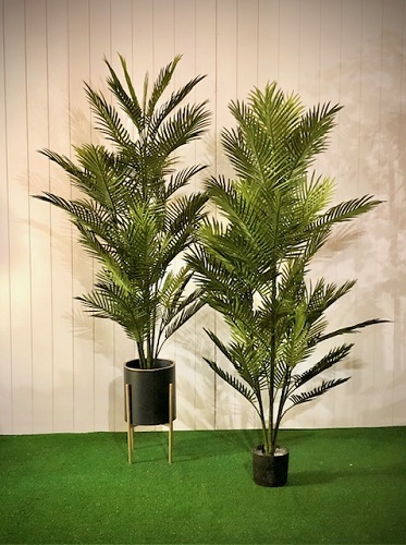 Robellini Palm 6' - Artificial Trees/Floor Plants - Green plastic artificial fern tree
