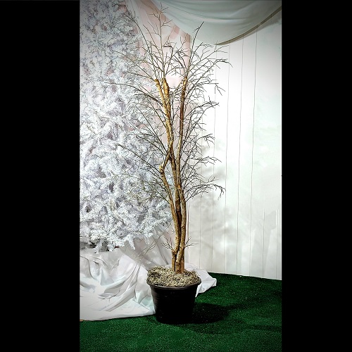 Winter Deciduous Tree - Christmas