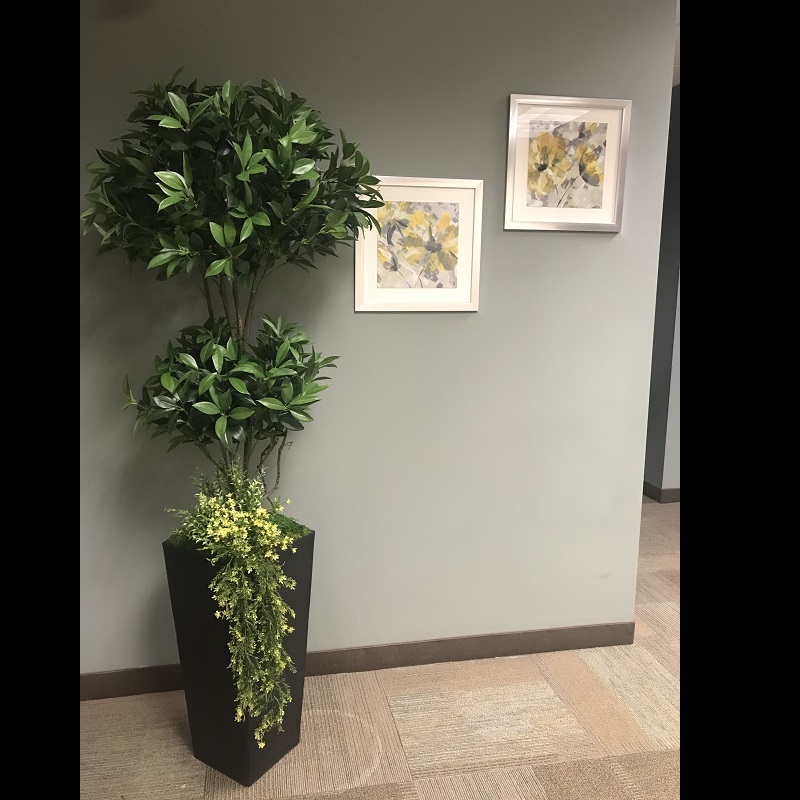 One-of-a-Kind Homemade Trees - Gallery