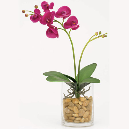 Pink Orchid with Rock - Event Rentals - Centerpieces for boat weddings